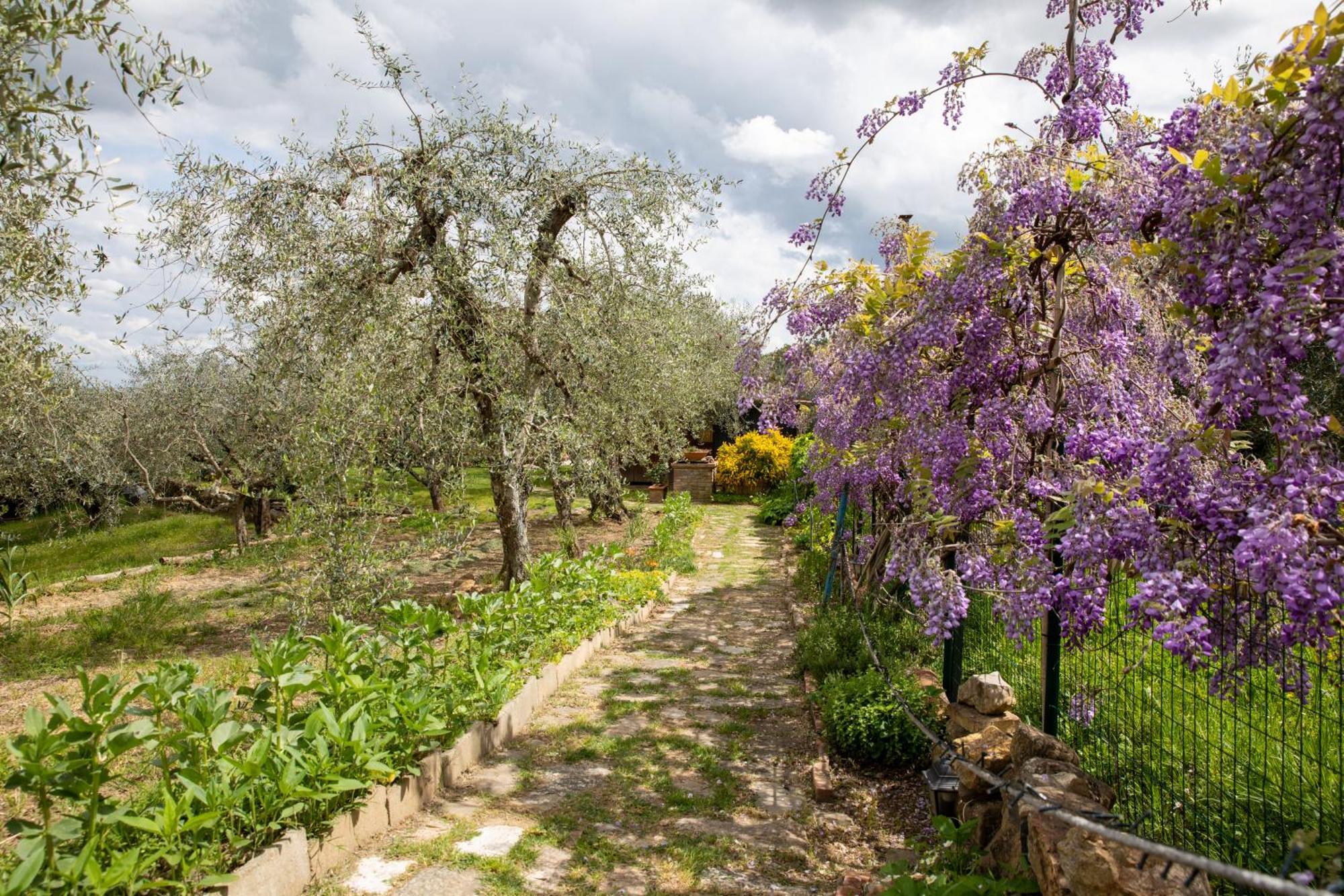 Il Poggio Dell'Eremita Apartment Rigomagno Luaran gambar